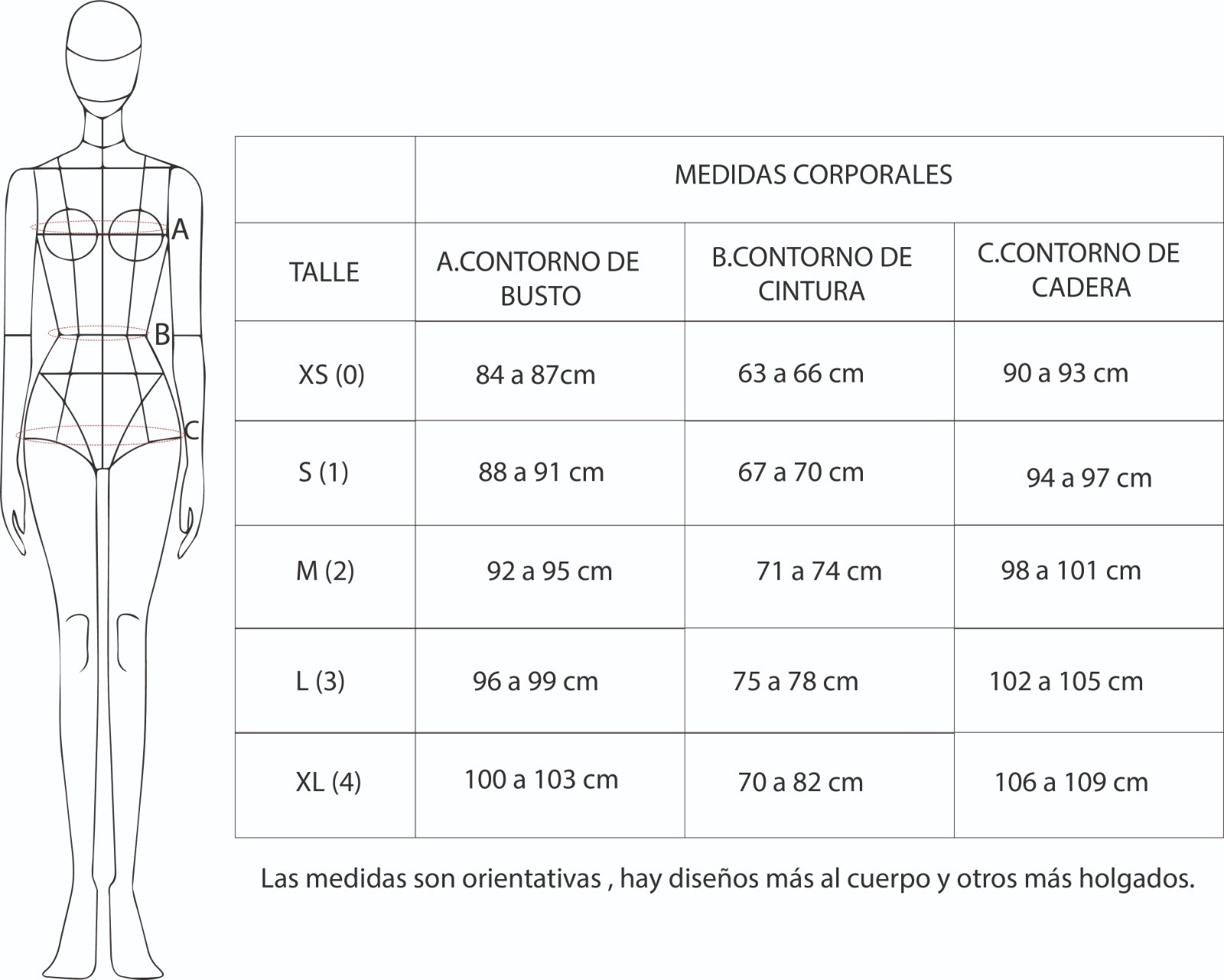 Tabla orientativa de medidas corporales